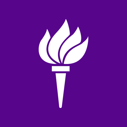 New York University